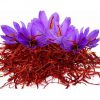 اجرای کشت آیروپونیک زعفران توسط پژوهشگران