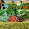 بررسی ورود فناوری به استارتاپ‌های کشاورزی و باغبانی در دانشگاه آزاد