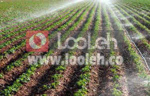 سیستم‌ های آبیاری تحت فشار توسعه می‌یابد