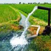 شرایط سرمایه گذاری در بخش کشاورزی باید تسهیل شود