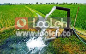 شرایط سرمایه گذاری در بخش کشاورزی باید تسهیل شود