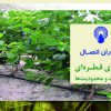 کاتالوگ آبیاری قطره ای پلی ران